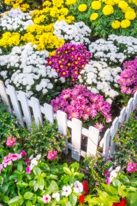 Garden box containing flowers