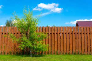 stained wooden fence