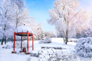 Pergola in winter backyard