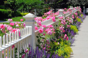 Fence adorned with bright flowers