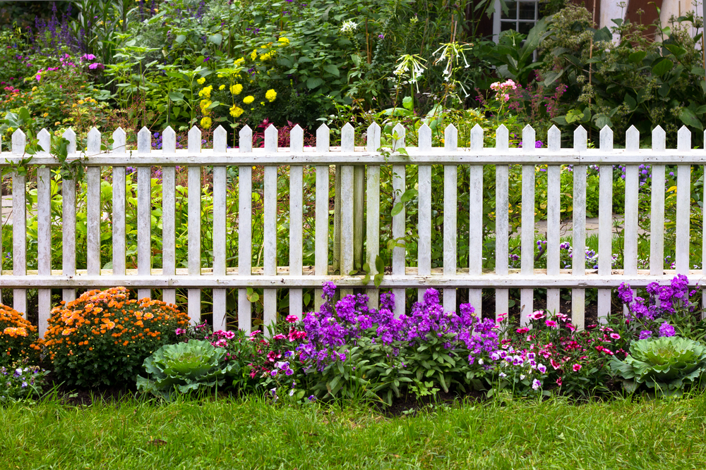 fenceline